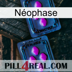 Néophase 03
